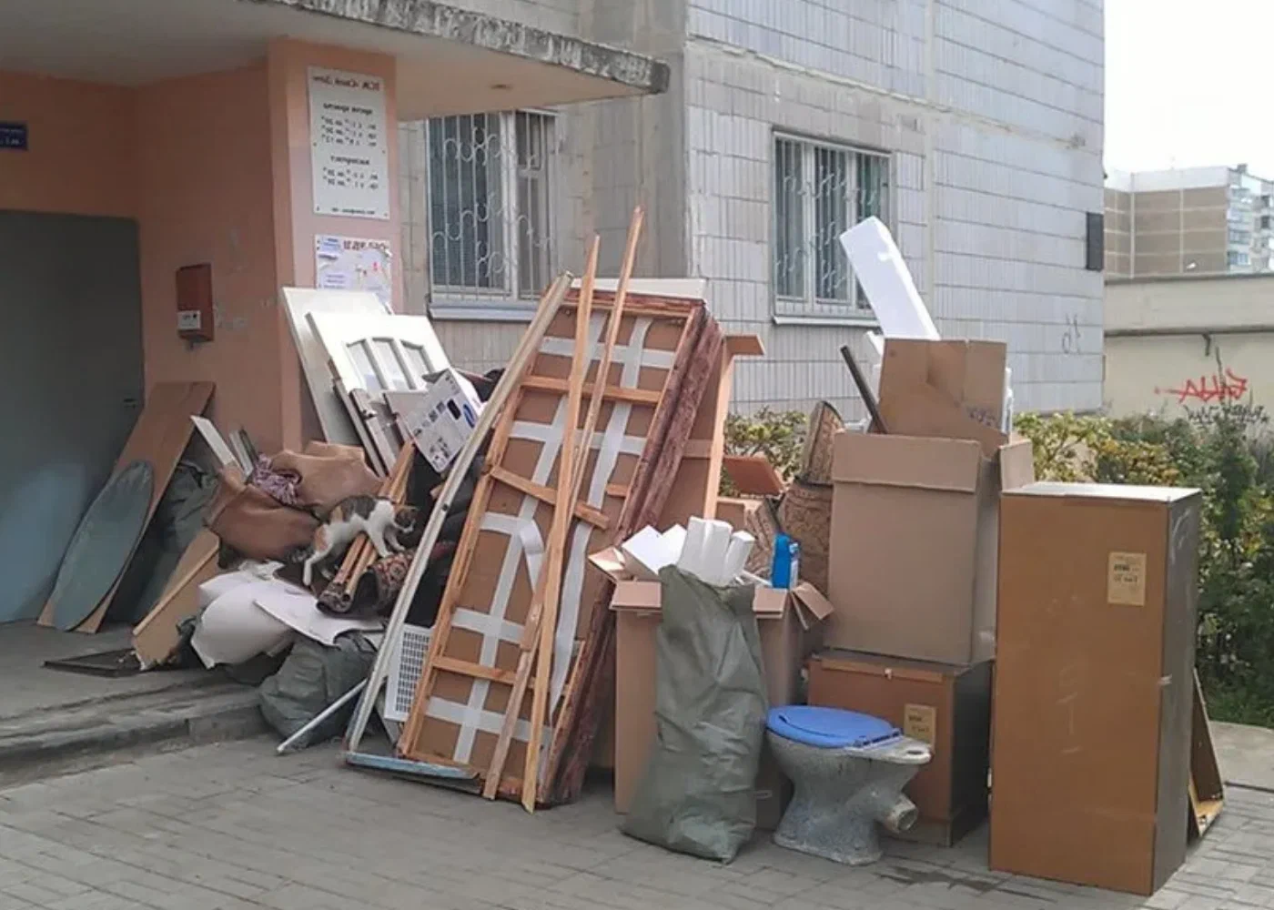 Профессиональный вывоз мусора из квартиры в Малоярославце в октябре