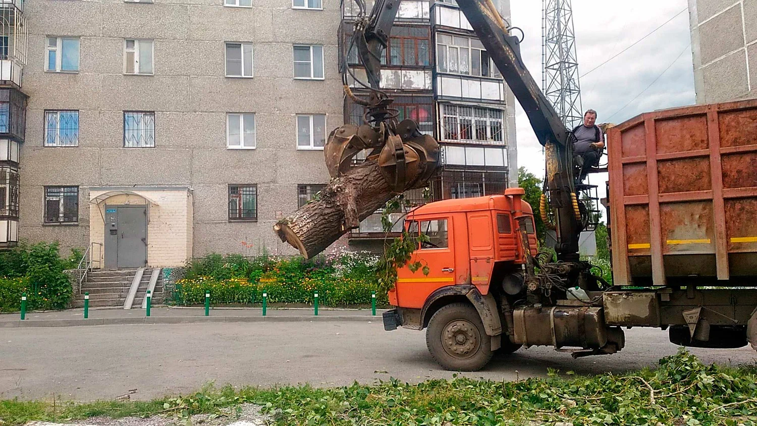 Вывоз спиленных веток и деревьев в Малоярославце от ПроМусор: порубочные остатки, утилизация, цена от 2999 руб
