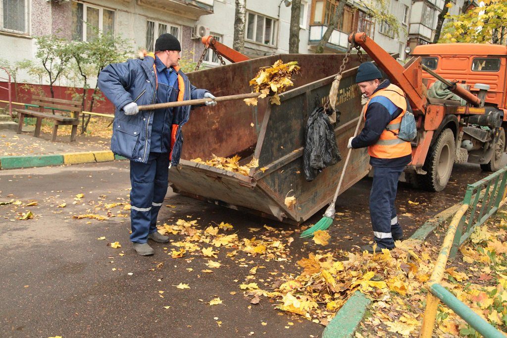 Вывоз опавшей листвы и растительного мусора в Малоярославце от ПроМусор – цена от 4654 руб., быстрая уборка и утилизация